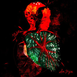 Táia – Obá Tajá