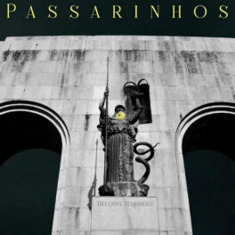 Heloísa Marshall – Passarinhos